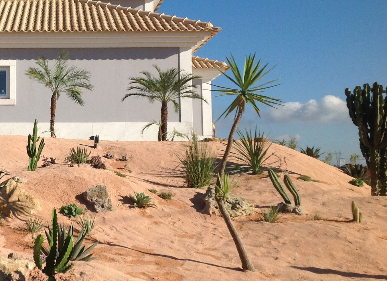 Jardim-a-imitar-o-Deserto