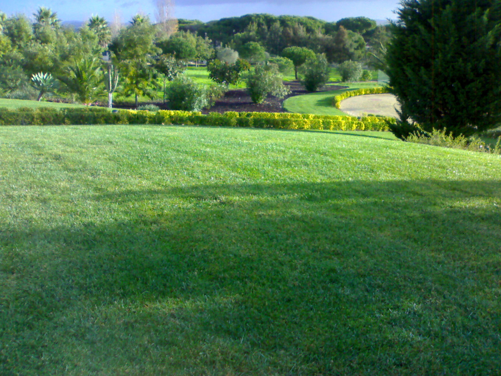 Jardim 10