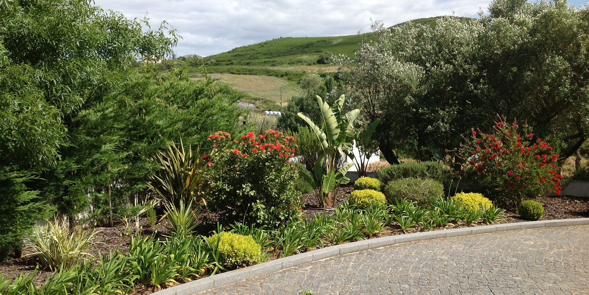 Jardim 15