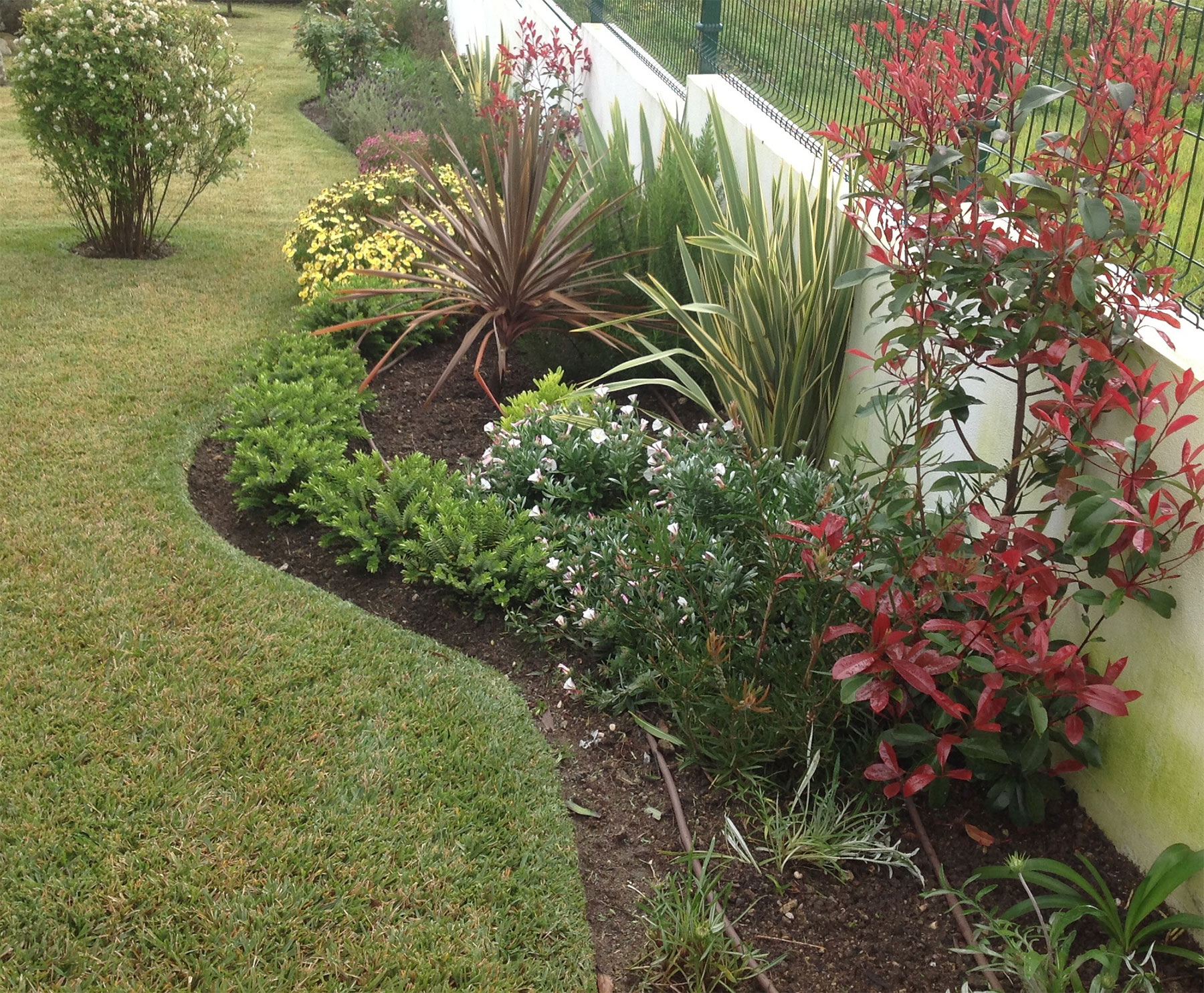 Jardim 3