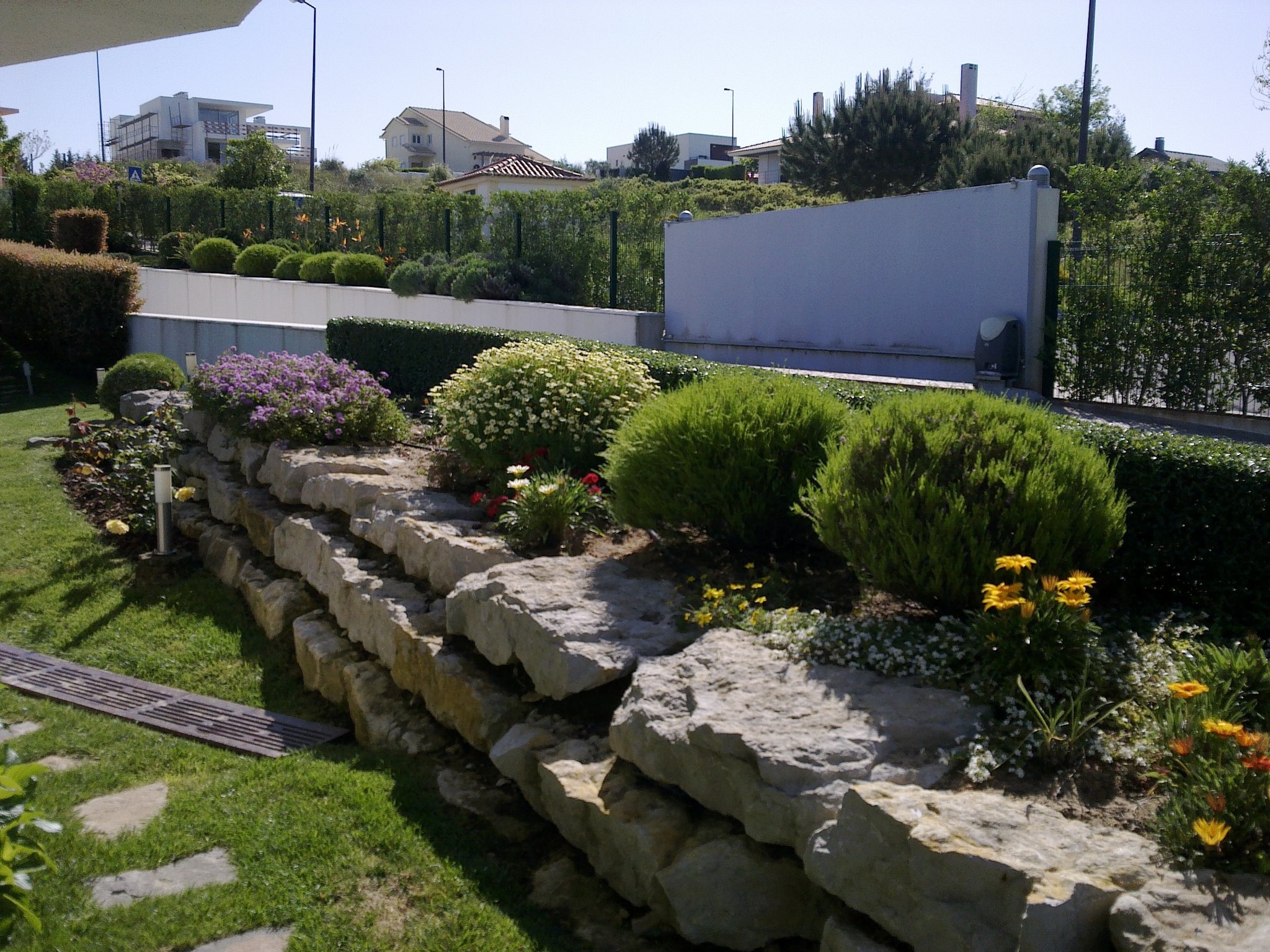 Jardim 6
