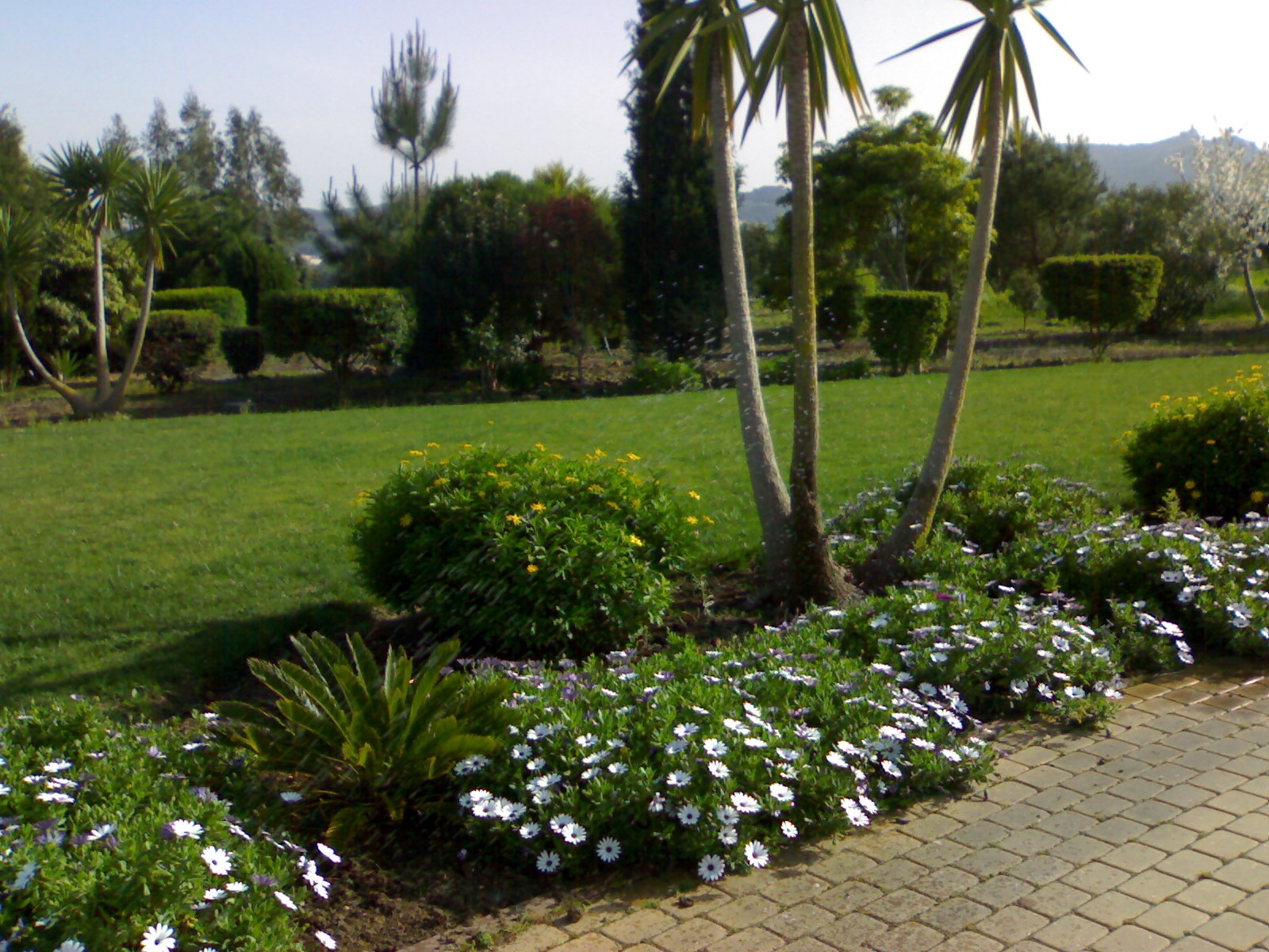 Jardim 7
