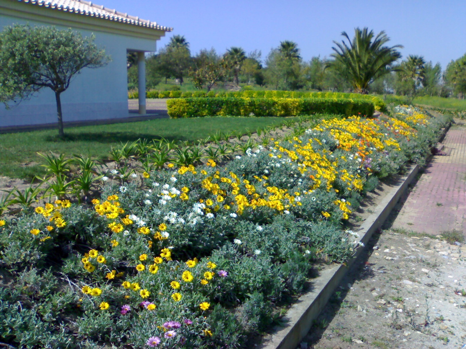 Jardim 8